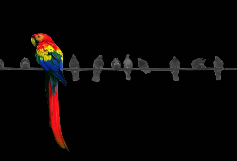 خدمات التصميم الإبداعي