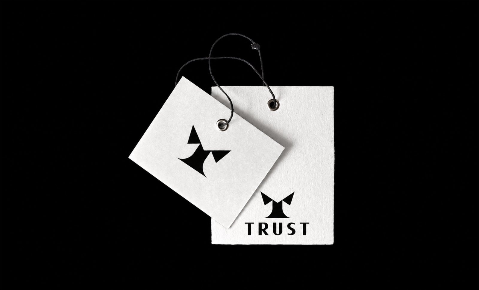 صورة 4 من معرض مشروع TRUST