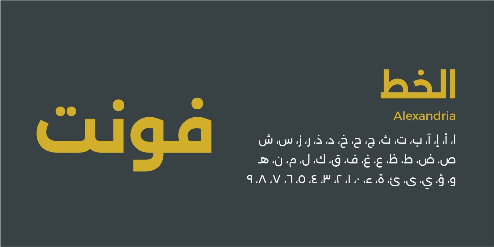 موكل Gallery
